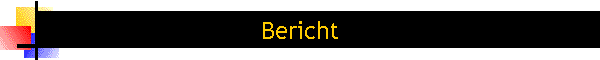 Bericht