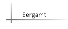 Bergamt